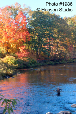 Fisherman and Foliage